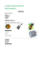 examples_of_good_and_bad_cvs.pdf